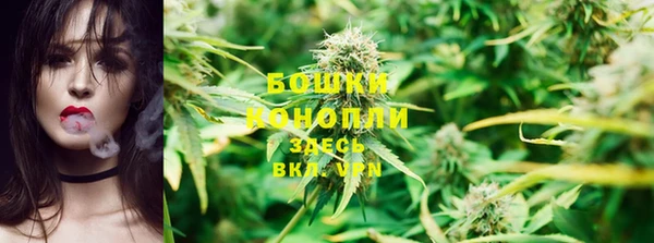 сатива Вязники