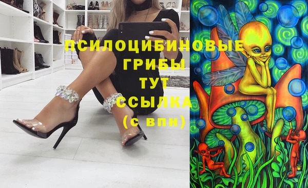 дмт Саяногорск