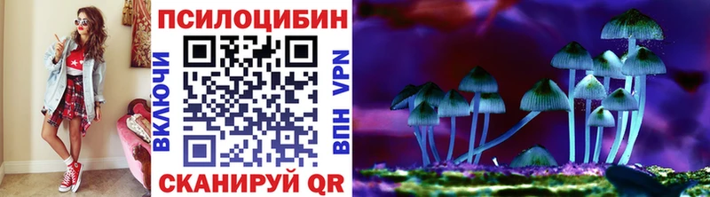 Галлюциногенные грибы Cubensis  наркотики  Вытегра 